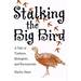 Stalking the Big Bird: a Tale of Turkeys, Biologists, and Bureaucrats