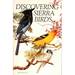 Discovering Sierra Birds