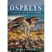 Ospreys: the Revival of a Global Raptor