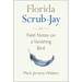 Florida Scrub-Jay: Field Notes on a Vanishing Bird