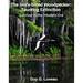 The Ivory-Billed Woodpecker: Taunting Extinction: Survival in the Modern Era