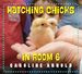 Hatching Chicks in Room 6 (Life Cycles in Room 6)