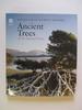 Ancient Trees of the National Trust