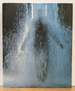 Bill Viola