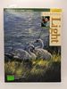 Painting Along With Jerry Yarnell-Volume 9: Creating Light