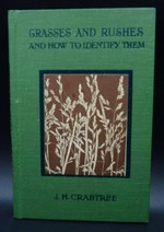 Grasses And Rushes And How to Ident
