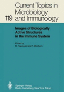 Images of Biologically Active Structures in the Immune System: Their Use in Biology and Medicine