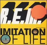 Imitation of Life [US CD/12"]