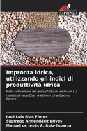 Impronta idrica, utilizzando gli indici di produttivit? idrica