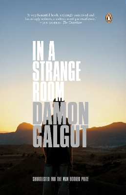 In a Strange Room - Galgut, Damon