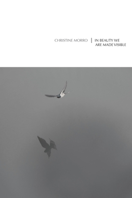 In Beauty We Are Made Visible - Morro, Christine, and Martin, David Anthony (Editor)