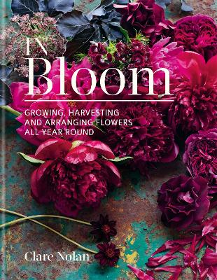 In Bloom: Growing, harvesting and arranging flowers all year round - Nolan, Clare