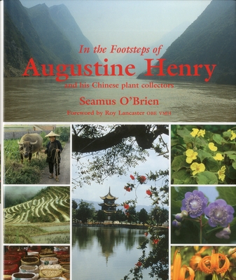 In the Footsteps of Augustine Henry - O'Brien, Seamus
