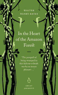 In the Heart of the Amazon Forest