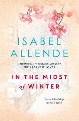 In the Midst of Winter - Allende, Isabel