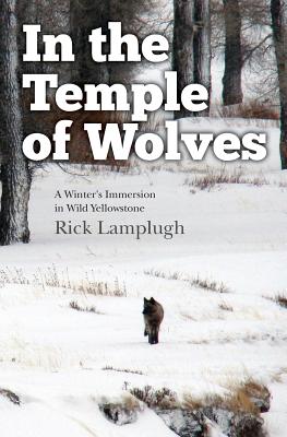 In the Temple of Wolves: A Winter's Immersion in Wild Yellowstone - Lamplugh, Rick