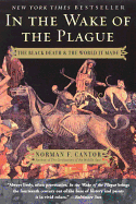 In the Wake of the Plague: The Black Death and the World it Made