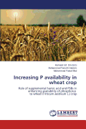 Increasing P Availability in Wheat Crop