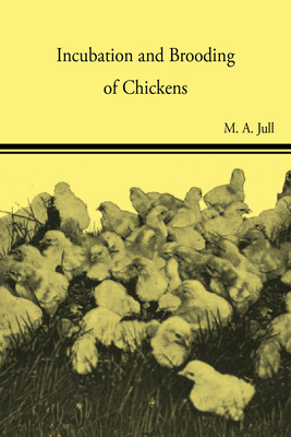 Incubation and Brooding of Chickens - Jull, M A