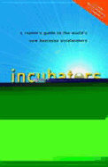 Incubators: A Realist's Guide to the World's New Business Accelerators