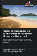 Indagine tassonomica sulle specie di anemoni di mare a Itacuru