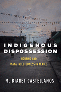 Indigenous Dispossession: Housing and Maya Indebtedness in Mexico