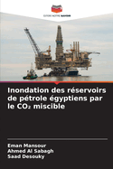 Inondation des r?servoirs de p?trole ?gyptiens par le CO  miscible