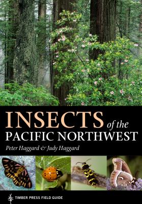 Insects of the Pacific Northwest - Haggard, Peter, and Haggard, Judy