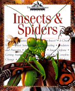 Insects & Spiders - Burnie, David, and Time-Life Books (Editor)