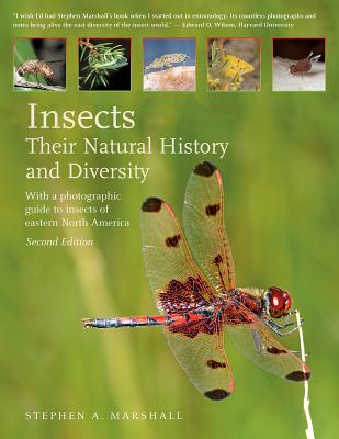 Insects: Their Natural History and Diversity: With a Photographic Guide to Insects of Eastern North America - Marshall, Stephen A