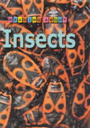 Insects - Claybourne, Anna