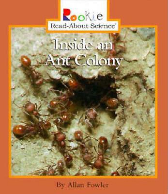 Inside an Ant Colony - Fowler, Allan