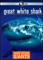 Inside Nature's Giants: Great White Shark