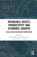 Intangible Assets, Productivity and Economic Growth: Micro, Meso and Macro Perspectives