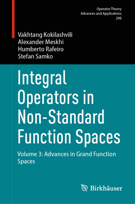 Integral Operators in Non-Standard Function Spaces: Volume 3: Advances in Grand Function Spaces - Kokilashvili, Vakhtang, and Meskhi, Alexander, and Rafeiro, Humberto