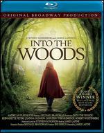 Into the Woods [Blu-ray]