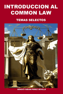 Introduccion Al Common Law: Temas Selectos