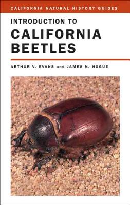 Introduction to California Beetles - Evans, Arthur V, Dr., and Hogue, James N