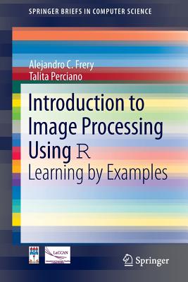 Introduction to Image Processing Using R: Learning by Examples - Frery, Alejandro C., and Perciano, Talita