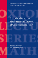 Introduction to the Mathematical Theory of Compressible Flow