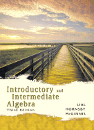 Introductory and Intermediate Algebra - Lial, Margaret L, and Hornsby, John, and McGinnis, Terry