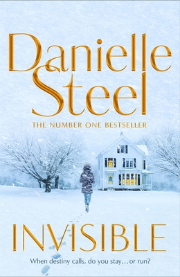 Invisible: A compelling story of ambition and pursuing a dream from the billion copy bestseller - Steel, Danielle