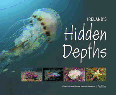 Ireland's Hidden Depths - Kay, Paul