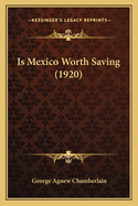 Is Mexico Worth Saving (1920)