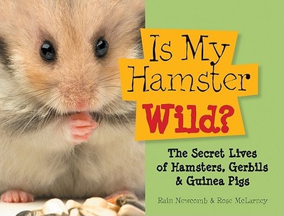 Is My Hamster Wild?: The Secret Lives of Hamsters, Gerbils & Guinea Pigs - Newcomb, Rain, and McLarney, Rose