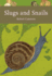 Slugs and Snails: Book 133 (Collins New Naturalist Library)