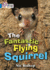 The Fantastic Flying Squirrel: Band 04/Blue (Collins Big Cat)