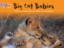 Big Cat Babies: This Non-Chronological Report is Packed With Facts About Big Cats. (Collins Big Cat)