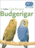 Care for Your Budgerigar (Rspca Pet Guide)