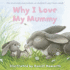 Why I Love My Mummy (Gift Book)